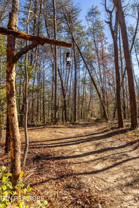 Tiny photo for 560 Bullet Creek Rd, Reliance, TN 37369 (MLS # 1324709)