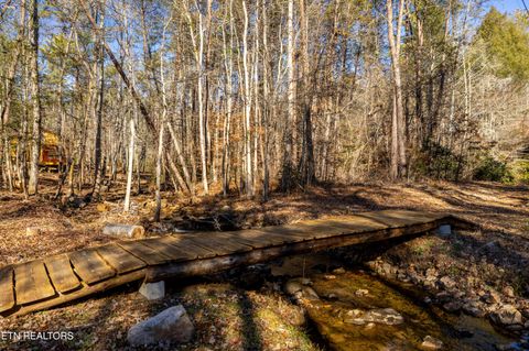 Tiny photo for 560 Bullet Creek Rd, Reliance, TN 37369 (MLS # 1324709)