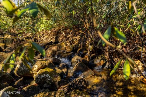 Tiny photo for 560 Bullet Creek Rd, Reliance, TN 37369 (MLS # 1324709)