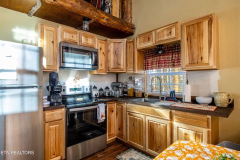 Tiny photo for 560 Bullet Creek Rd, Reliance, TN 37369 (MLS # 1324709)