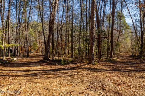 Tiny photo for 560 Bullet Creek Rd, Reliance, TN 37369 (MLS # 1324709)