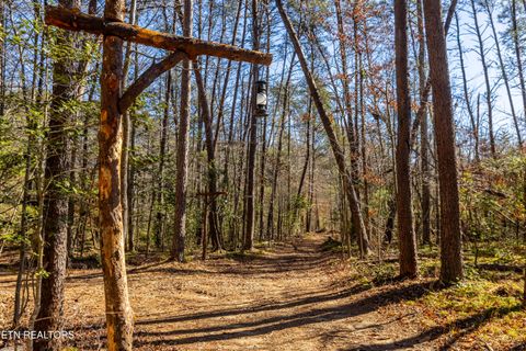 Tiny photo for 560 Bullet Creek Rd, Reliance, TN 37369 (MLS # 1324709)