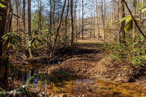 Tiny photo for 560 Bullet Creek Rd, Reliance, TN 37369 (MLS # 1324709)