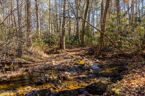 Tiny photo for 560 Bullet Creek Rd, Reliance, TN 37369 (MLS # 1324709)