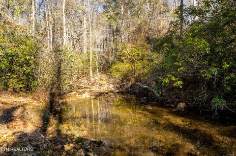 Tiny photo for 560 Bullet Creek Rd, Reliance, TN 37369 (MLS # 1324709)