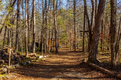 Tiny photo for 560 Bullet Creek Rd, Reliance, TN 37369 (MLS # 1324709)