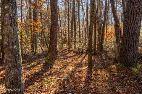 Tiny photo for 560 Bullet Creek Rd, Reliance, TN 37369 (MLS # 1324709)