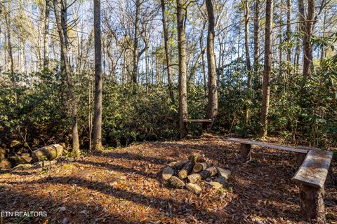 Tiny photo for 560 Bullet Creek Rd, Reliance, TN 37369 (MLS # 1324709)