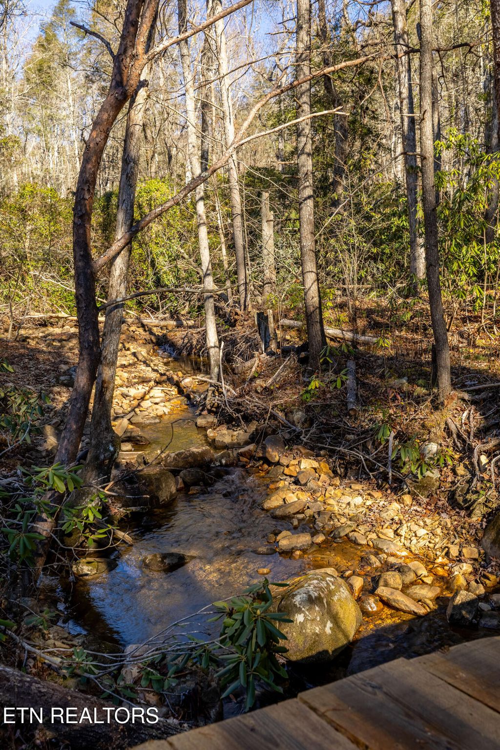 Photo of 560 Bullet Creek Rd, Reliance, TN 37369 (MLS # 1324709)