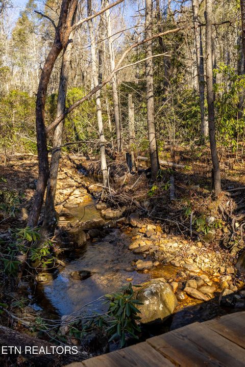 Tiny photo for 560 Bullet Creek Rd, Reliance, TN 37369 (MLS # 1324709)