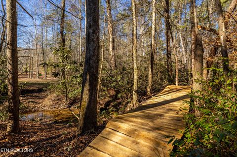 Tiny photo for 560 Bullet Creek Rd, Reliance, TN 37369 (MLS # 1324709)