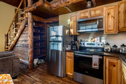 Tiny photo for 560 Bullet Creek Rd, Reliance, TN 37369 (MLS # 1324709)