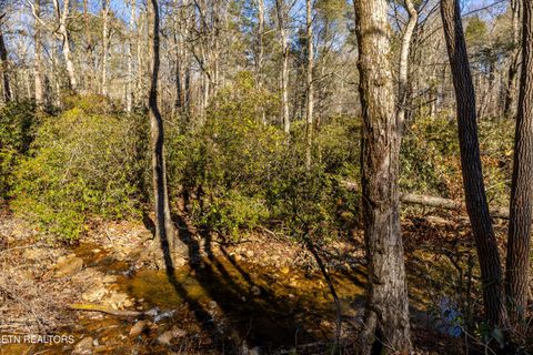 Tiny photo for 560 Bullet Creek Rd, Reliance, TN 37369 (MLS # 1324709)