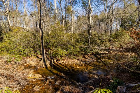 Tiny photo for 560 Bullet Creek Rd, Reliance, TN 37369 (MLS # 1324709)