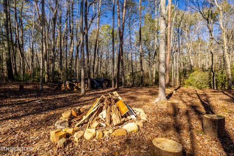 Tiny photo for 560 Bullet Creek Rd, Reliance, TN 37369 (MLS # 1324709)