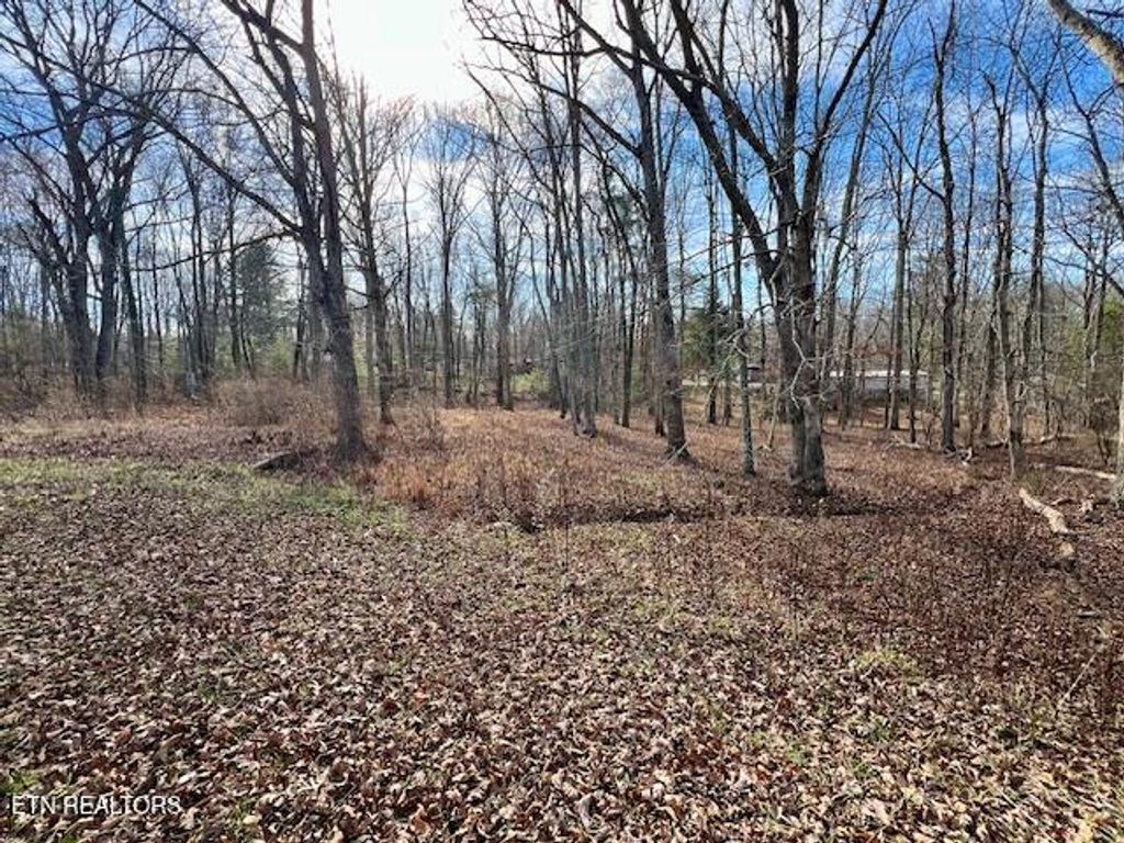 Photo of 19 Royal Circle, Crossville, TN 38558 (MLS # 1324807)