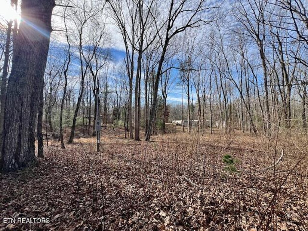 Photo of 19 Royal Circle, Crossville, TN 38558 (MLS # 1324807)