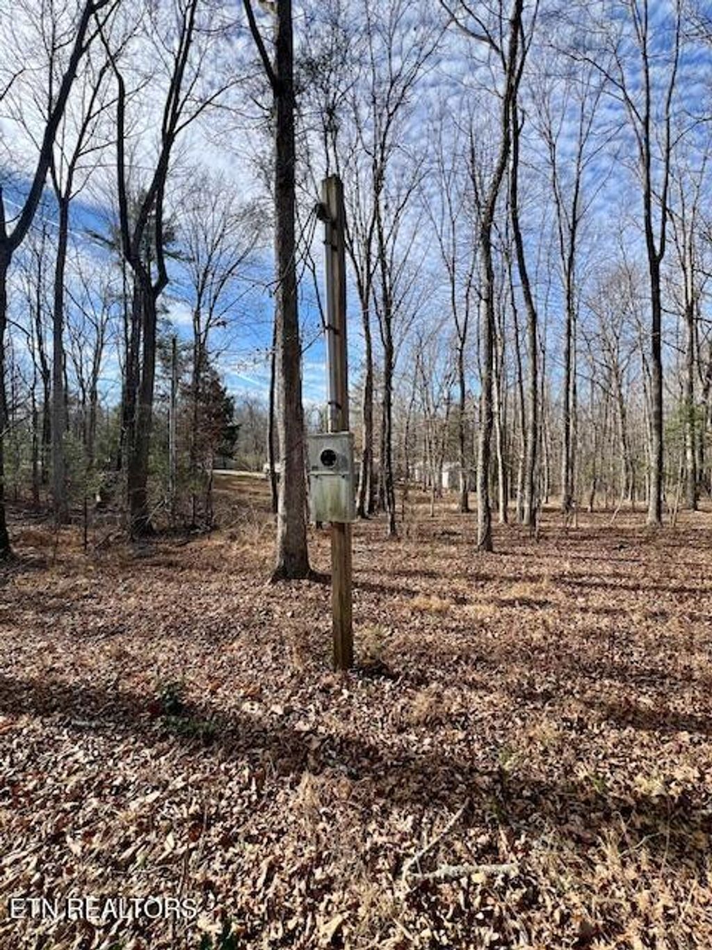 Photo of 19 Royal Circle, Crossville, TN 38558 (MLS # 1324807)