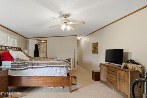 Tiny photo for 122 2nd St, Corryton, TN 37721 (MLS # 1335557)