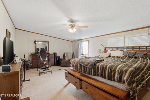 Tiny photo for 122 2nd St, Corryton, TN 37721 (MLS # 1335557)