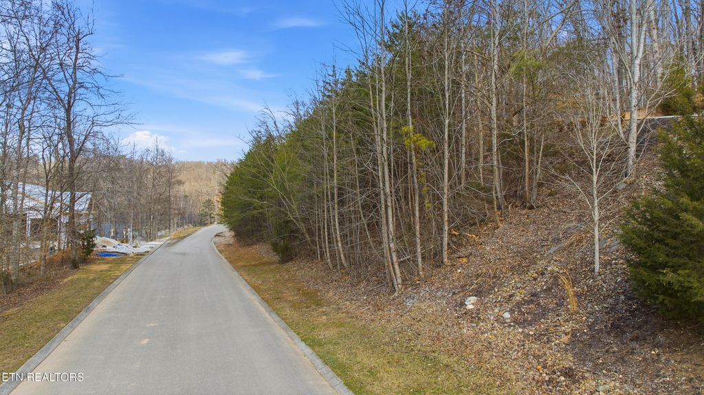 Photo of Lot 161, The Battery, Kingston, TN 37763 (MLS # 1331621)