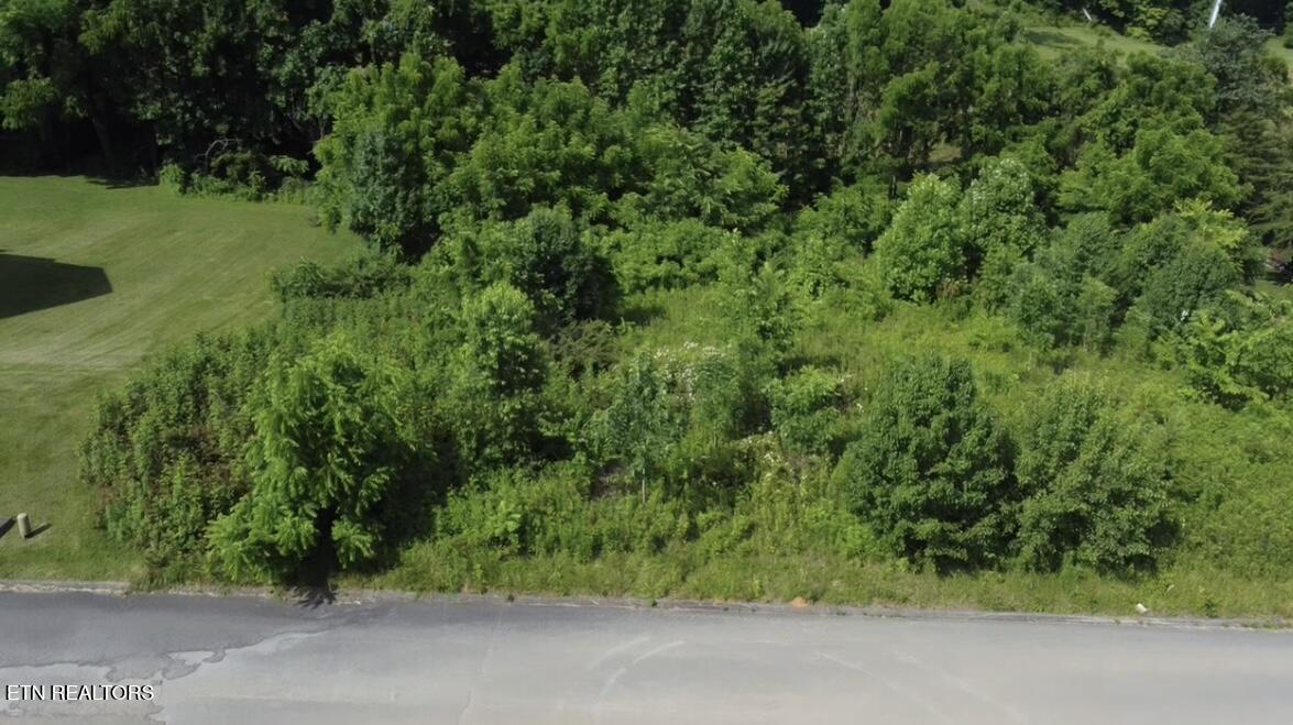 Lot 8 Thomas Headrick Rd
