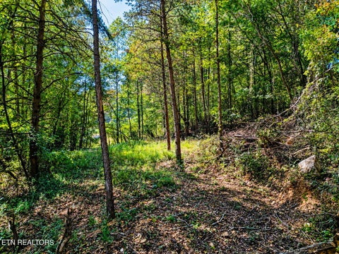 Tiny photo for 119 Baker Rd, Rockwood, TN 37854 (MLS # 1357643)