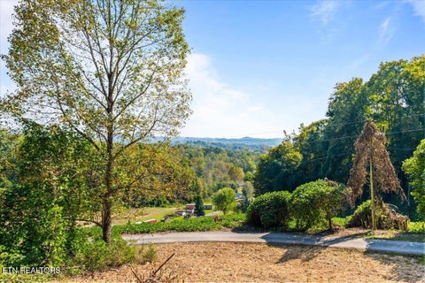 Tiny photo for 342 Big Springs Lane, Jacksboro, TN 37757 (MLS # 1359307)