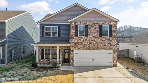 Tiny photo for 262 Ibis Loop, Oak Ridge, TN 37830 (MLS # 1329220)