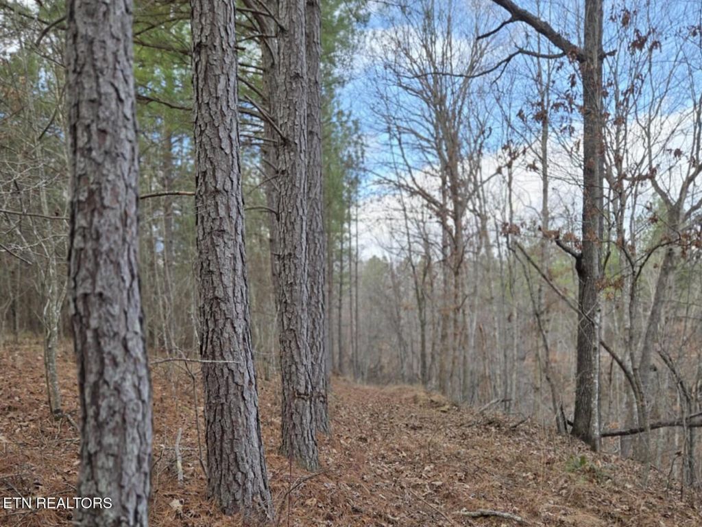 Photo of 0 US RT 27, Sunbright, TN 37872 (MLS # 1325968)