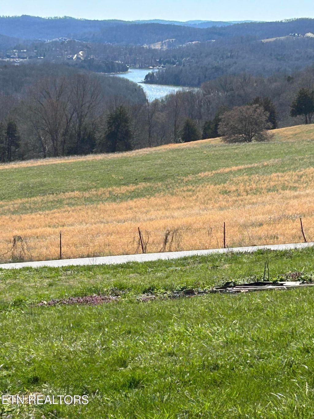 Photo of 110 Flatview Drive, Speedwell, TN 37870 (MLS # 1294287)