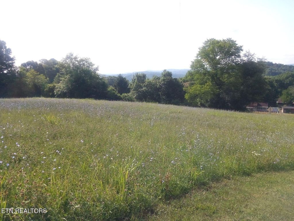 Photo of 110 Flatview Drive, Speedwell, TN 37870 (MLS # 1294287)