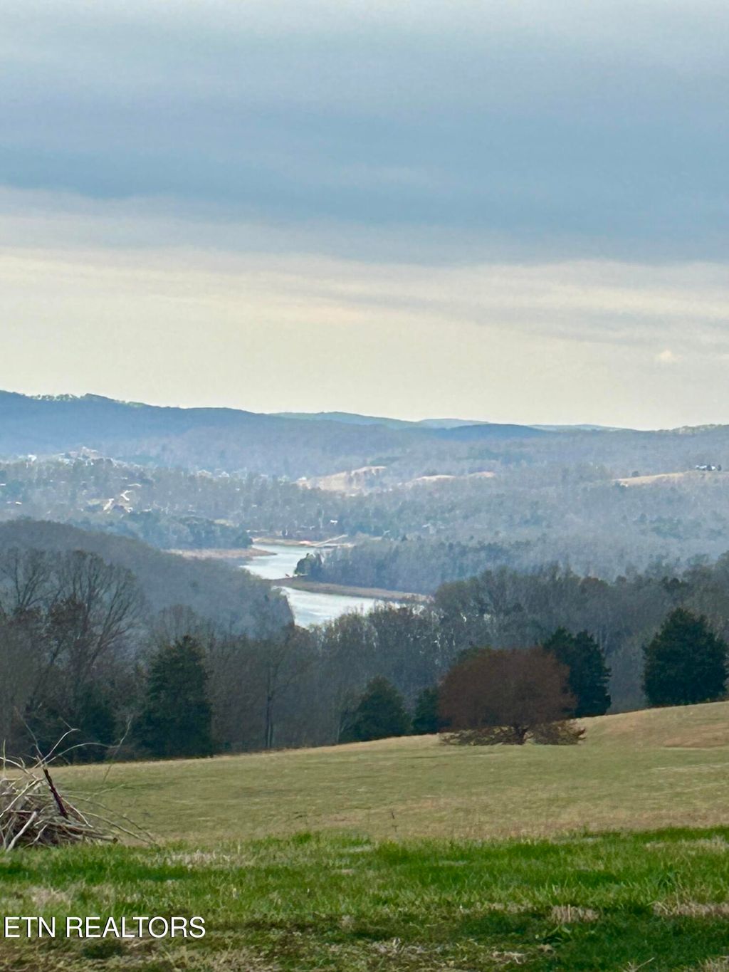 Photo of 110 Flatview Drive, Speedwell, TN 37870 (MLS # 1294287)
