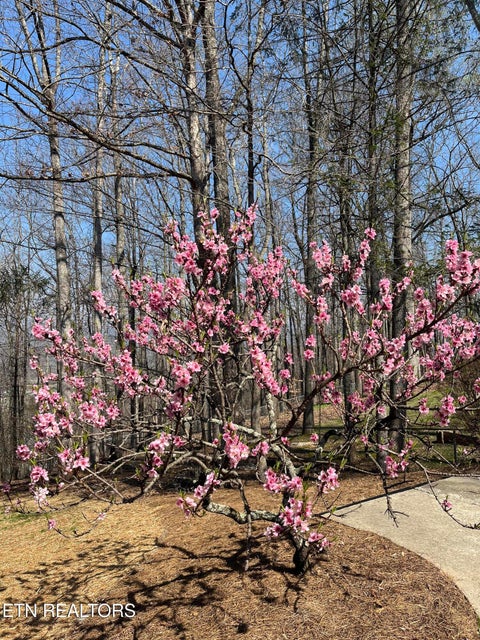 Tiny photo for 152 Whippoorwill Drive, Oak Ridge, TN 37830 (MLS # 1350142)