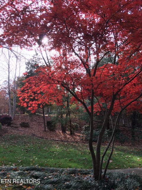 Tiny photo for 152 Whippoorwill Drive, Oak Ridge, TN 37830 (MLS # 1350142)
