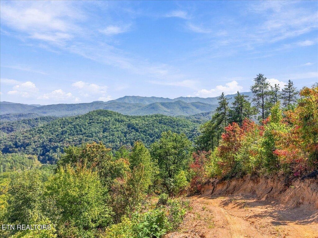 Photo of 462 Middle Creek Rd, Cosby, TN 37722 (MLS # 1359587)