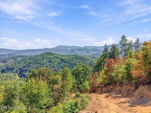 Tiny photo for 462 Middle Creek Rd, Cosby, TN 37722 (MLS # 1359587)