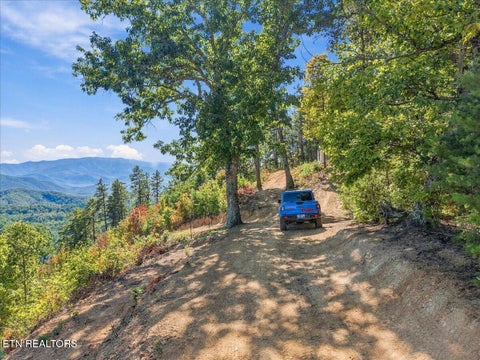 Tiny photo for 462 Middle Creek Rd, Cosby, TN 37722 (MLS # 1359587)