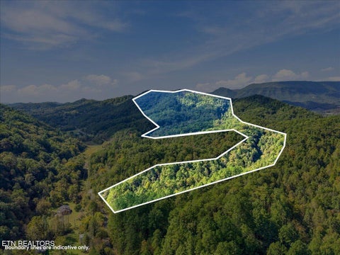 Tiny photo for 462 Middle Creek Rd, Cosby, TN 37722 (MLS # 1359587)
