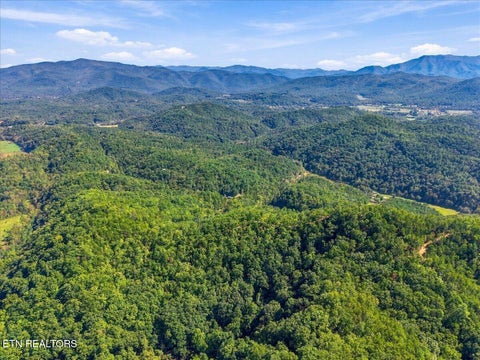 Tiny photo for 462 Middle Creek Rd, Cosby, TN 37722 (MLS # 1359587)