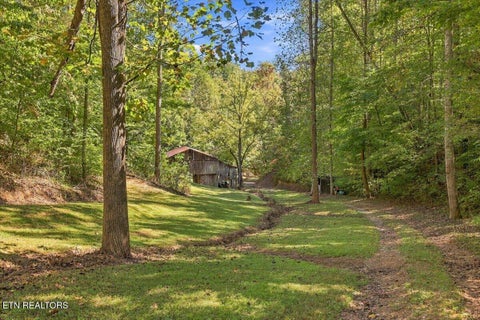 Tiny photo for 462 Middle Creek Rd, Cosby, TN 37722 (MLS # 1359587)