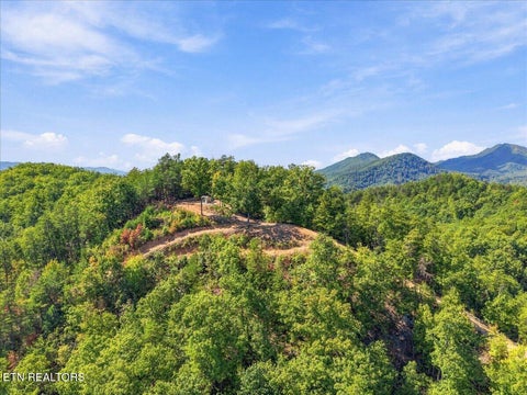 Tiny photo for 462 Middle Creek Rd, Cosby, TN 37722 (MLS # 1359587)