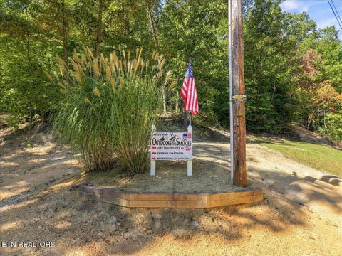 Tiny photo for 462 Middle Creek Rd, Cosby, TN 37722 (MLS # 1359587)