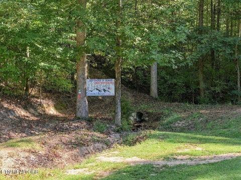 Tiny photo for 462 Middle Creek Rd, Cosby, TN 37722 (MLS # 1359587)