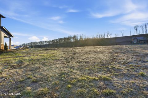 Tiny photo for 343 Black Bear Circle, Loudon, TN 37774 (MLS # 1326497)