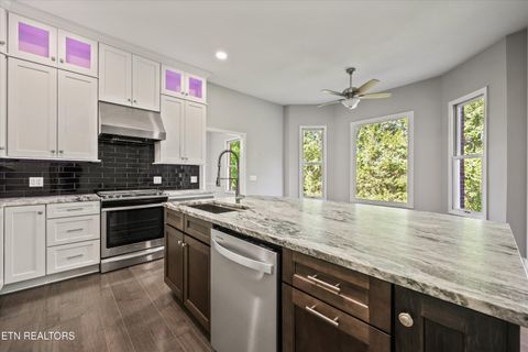 Tiny photo for 3962 Logans Landing Circle, Louisville, TN 37777 (MLS # 1338158)
