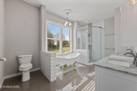 Tiny photo for 3962 Logans Landing Circle, Louisville, TN 37777 (MLS # 1338158)