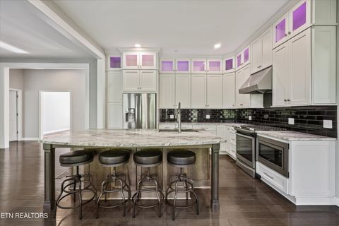 Tiny photo for 3962 Logans Landing Circle, Louisville, TN 37777 (MLS # 1338158)