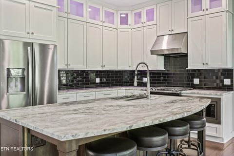 Tiny photo for 3962 Logans Landing Circle, Louisville, TN 37777 (MLS # 1338158)