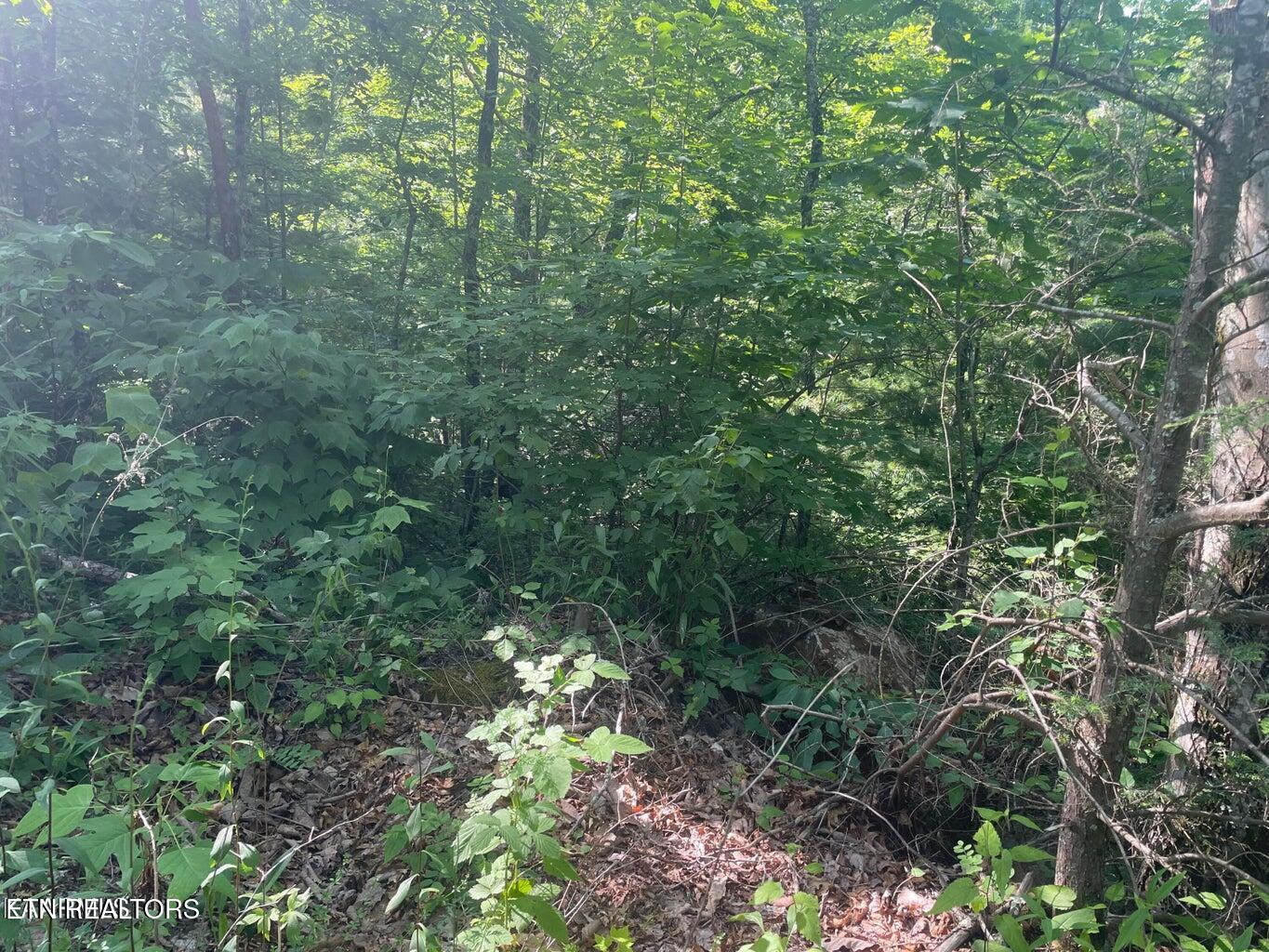 Lot 69 Sycamore St